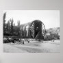 Syrian Water Wheel, early 1900s Print