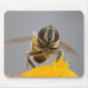 Syrphidae mousepads by EMangl Syrphidae mousepads