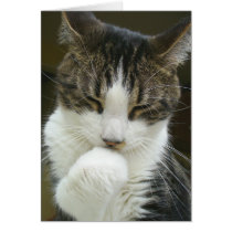 Syrus Card 001