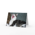 Syrus Laughing Greeting Card by phantompanther Syrus Laughing Greeting Card