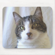 Syrus Mousepad 001