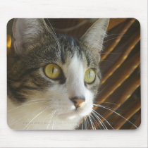 Syrus Mousepad 002