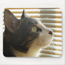 Syrus Mousepad 004
