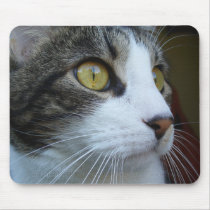 Syrus Mousepad 005