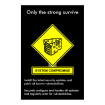 System Compromise Security Awareness Poster posters