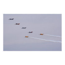 T-6 Texan Formation posters