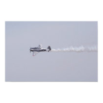T-6 Texan posters