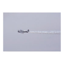 T-6 Texan posters