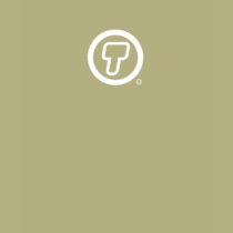 T Logo Longsleeve t-shirts