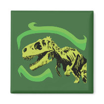 T-Rex Dinosaur Skeleton magnets