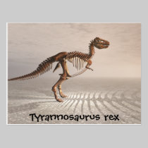 T. rex Dinosaur Skeleton postcard postcards