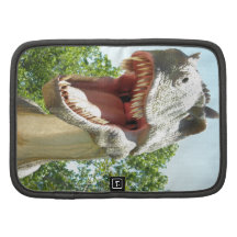 T-Rex Dinosaurs Organizers