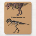 T-rex Flesh-n-Bone,Mousepad