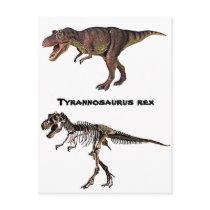 T-rex Flesh-n-Bone,Postcard