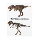 T-rex Flesh-n-Bone,Postcard