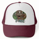 T-Rex hats