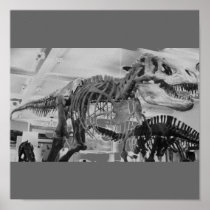 T-Rex Skeleton B+W Print