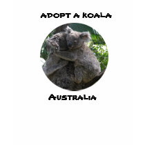 T-Shirt  ADOPT A KOALA, Australia