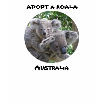 T-Shirt Adopt A Koala Australia ZIZZAGO