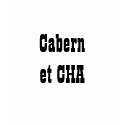 T-Shirt "Cabernet CHA" Gris Long Noir