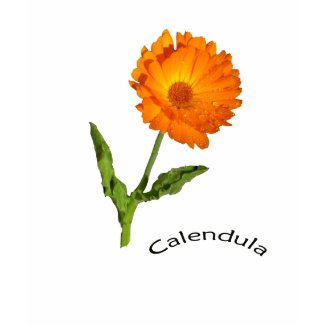 T-shirt - calendula shirt