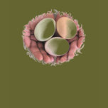 T-Shirt, Eggs Photo