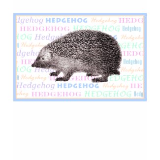 Children’s T-Shirt featuring an Adorable Hedgehog