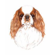 T shirt: King charles spaniel (english toy)