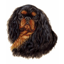 T Shirt: King charles spaniel ( English toy)