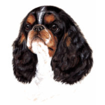 T Shirt: King charles spaniel ( not cavalier)