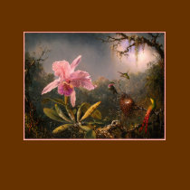 T-Shirt: Orchid and Hummingbirds