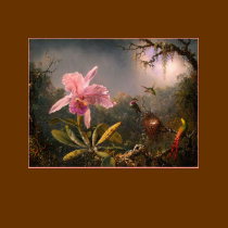 T-Shirt: Orchid and Hummingbirds