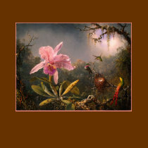 T-Shirt: Orchid and Hummingbirds