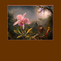 T-Shirt: Orchid and Hummingbirds