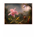 T-Shirt: Orchid and Hummingbirds