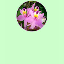 T-shirt: Orchids