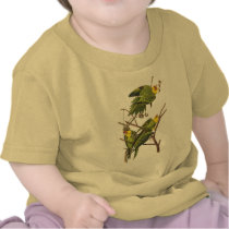 T-Shirt: Parakeets - by John Audubon by VintagePets T-Shirt: Parakeets - by John Audubon