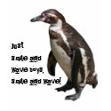 T-Shirt Pinguin 01