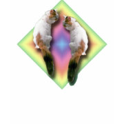 T-shirt - Rainbow diamond and Cats shirt