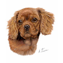 T Shirt : Ruby Cavalier king charles spaniel