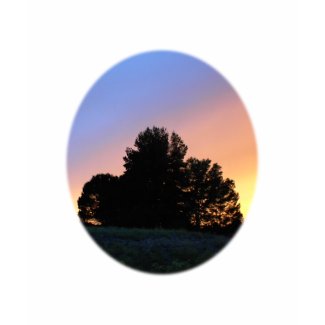 T-Shirt: Templeton sunset over tree shirt