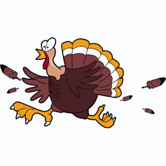 T-shirt - Turkey Run! shirt