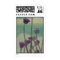 t"Thistles" postage