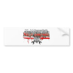 T. Wright Ninja Assassin Zx14 bumper stickers