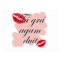 Tá grá agam duit - Irish Gaelic I love you Postcards