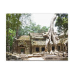 ta prohm angkor postcards