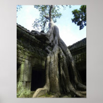 Ta Prohm, Cambodia Poster