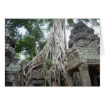 ta prohm roots greeting card