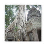 ta prohm roots refrigerator magnets