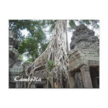 ta prohm roots post card